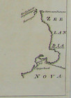 NZ Close up